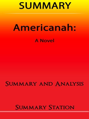 cover image of Americanah / Summary